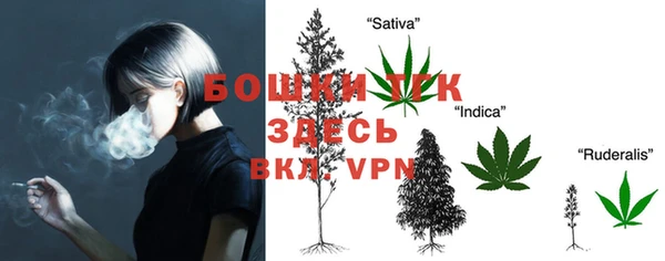 метадон Гусиноозёрск