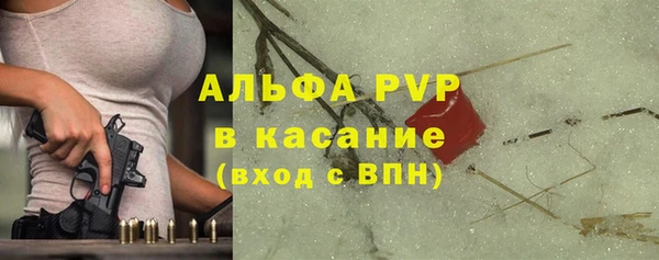 СК Горно-Алтайск